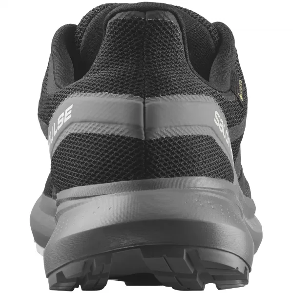  Muške cipele SALOMON HYPULSE GORE-TEX L41595900 CRNO/TIHA SJENA/MJESEČEVA STIJENA 
