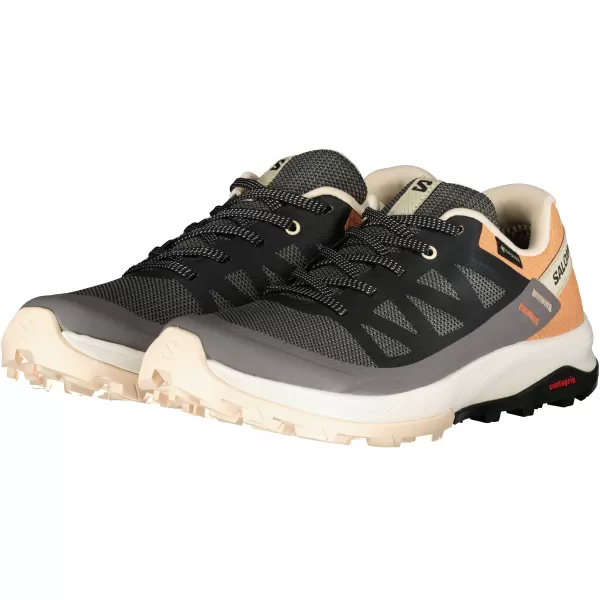  Ženske cipele SALOMON OUTRISE GORE-TEX L47219100 MAGNET/CRNO/KORALJNO ZLATO 