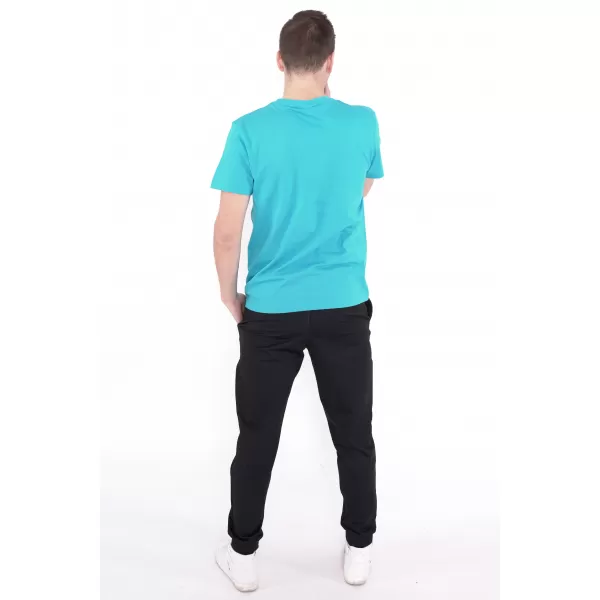  Muška majica kratkih rukava ALTISPORT CARRYOVER ALM173129 TIRKIZ 