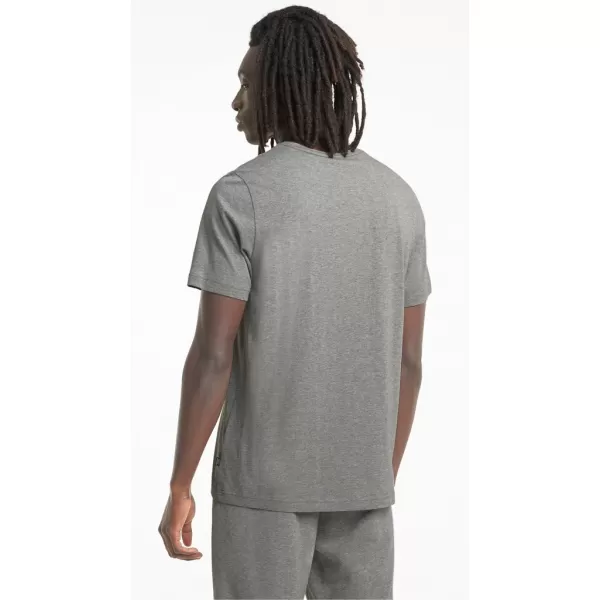  Muška majica kratkih rukava PUMA ESS+ 2 COL LOGO TEE 586759-03 SIVA 