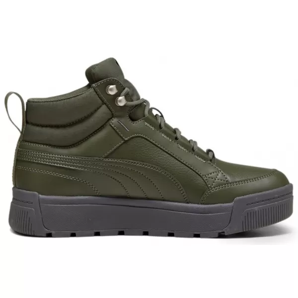  Muške cipele PUMA TARRENZ SB III PURETEX 393930-03 ZELENA 