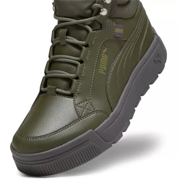  Muške cipele PUMA TARRENZ SB III PURETEX 393930-03 ZELENA 