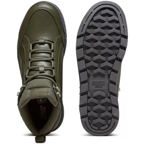  Muške cipele PUMA TARRENZ SB III PURETEX 393930-03 ZELENA 