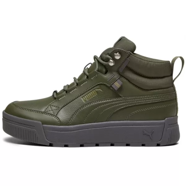  Muške cipele PUMA TARRENZ SB III PURETEX 393930-03 ZELENA 