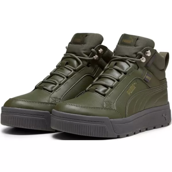  Muške cipele PUMA TARRENZ SB III PURETEX 393930-03 ZELENA 