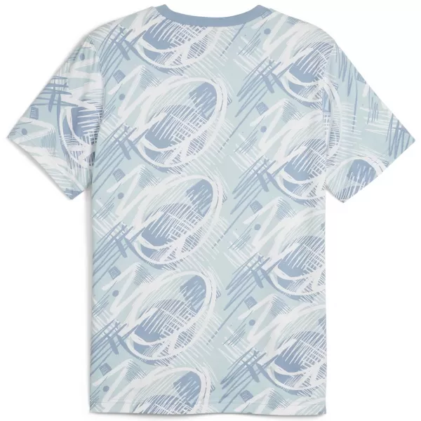  Muška majica kratkih rukava PUMA POWER AOP TEE 678938-20 PLAVA 