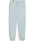 Ženske hlače PUMA ESS+ SMALL LOGO HW PANTS TR 678744-22 PLAVA