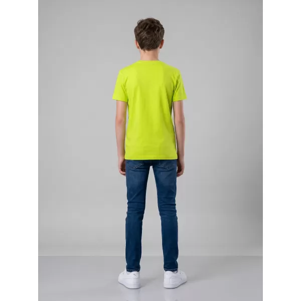  Dječja majica ALTISPORT NoPrint NP/ALK531 VAPNO 
