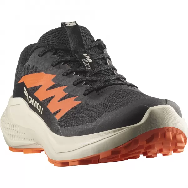  Muške cipele SALOMON ALPHAGLIDE L47801100 CRNA/KIŠNI DAN/CRVENO NARANČASTA 