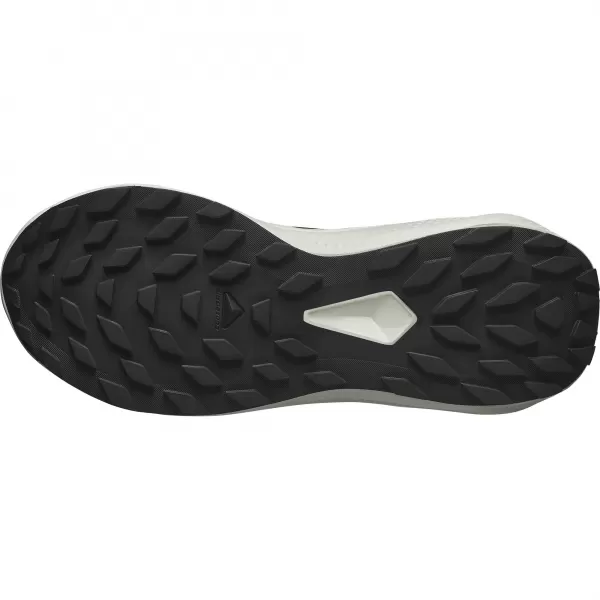  Ženske cipele SALOMON ALPHAGLIDE W L47801500 CRNO/FANTOMSKO/LEDENICA 