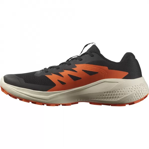  Muške cipele SALOMON ALPHAGLIDE L47801100 CRNA/KIŠNI DAN/CRVENO NARANČASTA 