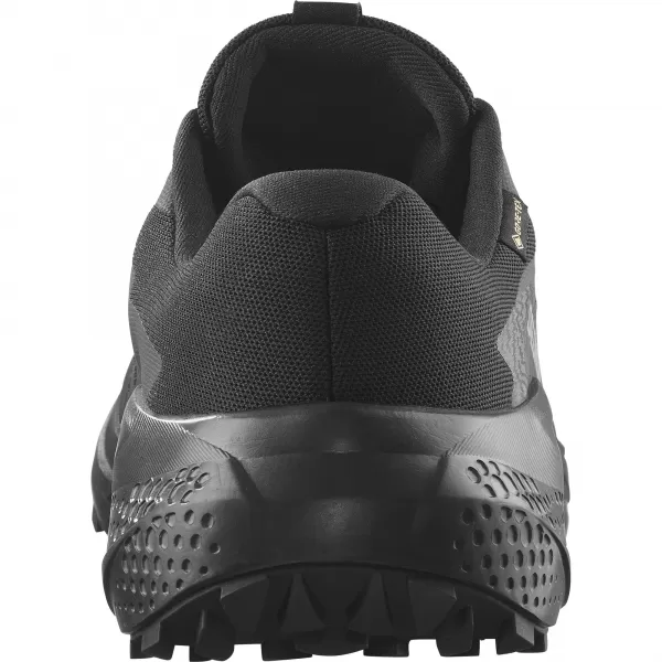  Muške cipele SALOMON ALPHAGLIDE GTX L47802100 CRNO/ASFALT/CRNO 