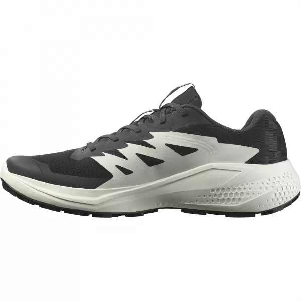  Muške cipele SALOMON ALPHAGLIDE L47801000 CRNO/FANTOMSKO/LEDENICA 