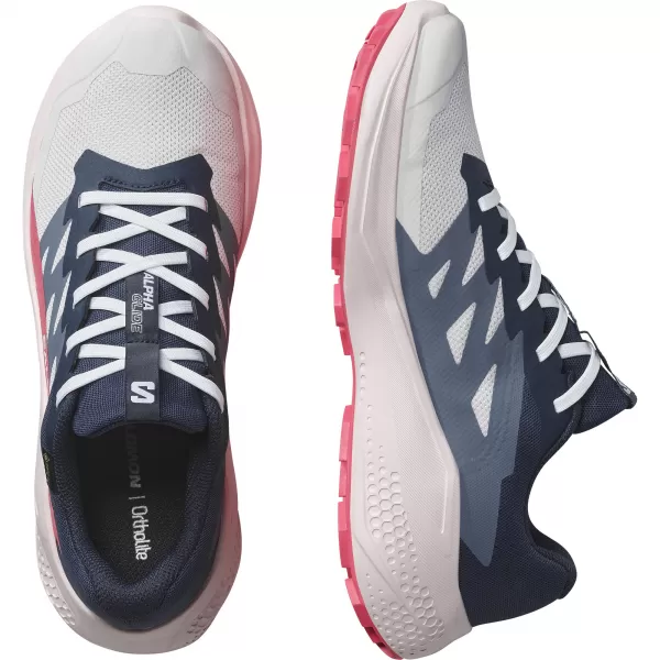  Ženske cipele SALOMON ALPHAGLIDE GTX W L47802300 LUNARNA STIJENA/PLAVE NOĆI/CRVENA CRVENA 