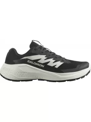 Ženske cipele SALOMON ALPHAGLIDE W L47801500 CRNO/FANTOMSKO/LEDENICA