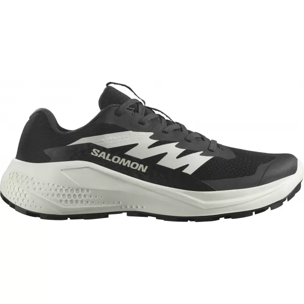  Ženske cipele SALOMON ALPHAGLIDE W L47801500 CRNO/FANTOMSKO/LEDENICA 