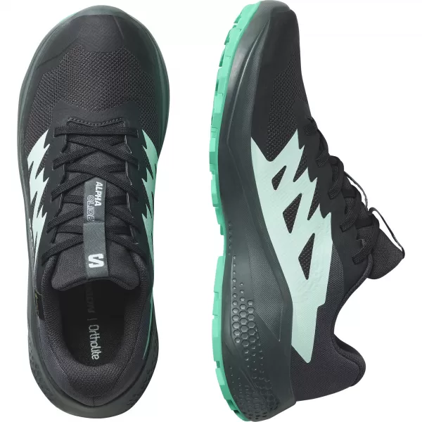  Ženske cipele SALOMON ALPHAGLIDE GTX W L47802400 FANTOM/URBANI ŠIK/VODOPAD 