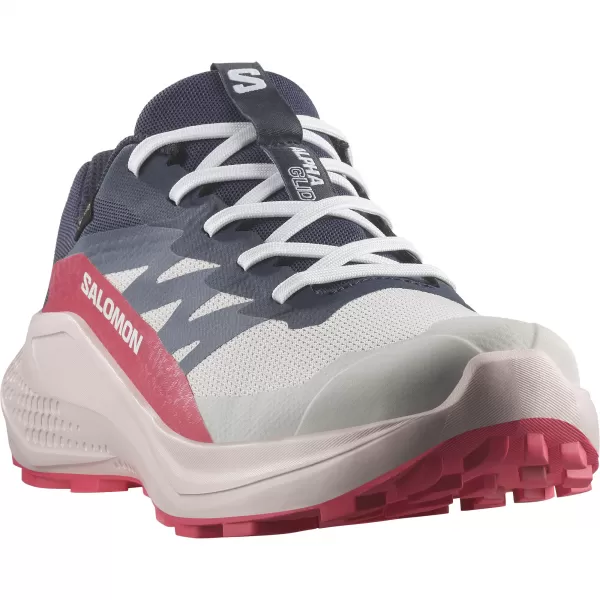  Ženske cipele SALOMON ALPHAGLIDE GTX W L47802300 LUNARNA STIJENA/PLAVE NOĆI/CRVENA CRVENA 
