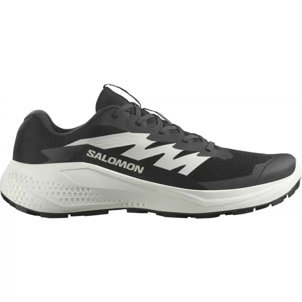  Muške cipele SALOMON ALPHAGLIDE L47801000 CRNO/FANTOMSKO/LEDENICA 