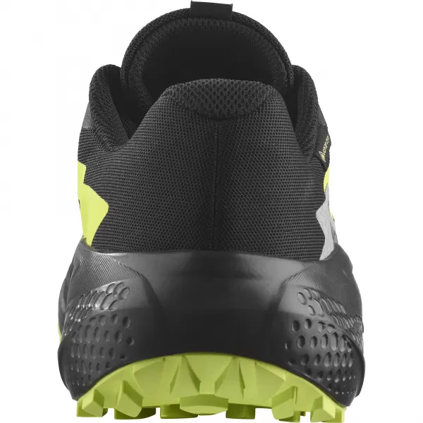  Muške cipele SALOMON ALPHAGLIDE GTX L47802000 CRNA/LEGURA/OŠTRA ZELENA 