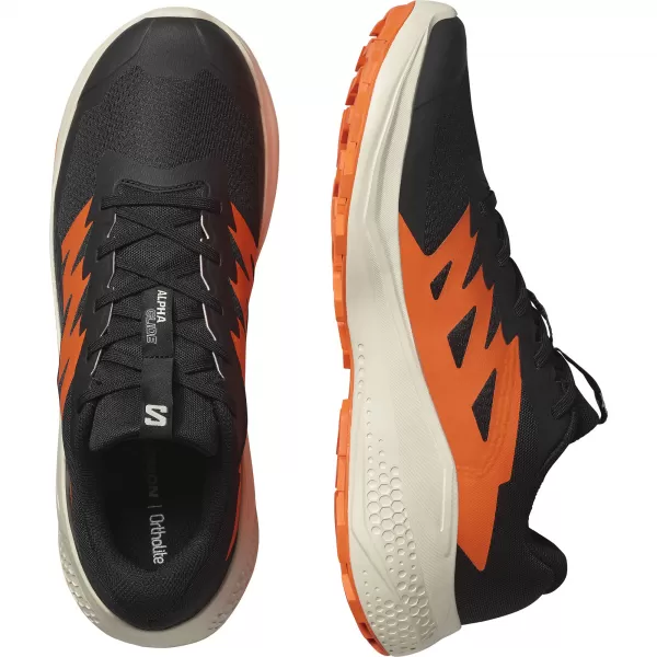  Muške cipele SALOMON ALPHAGLIDE L47801100 CRNA/KIŠNI DAN/CRVENO NARANČASTA 