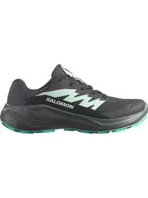 Ženske cipele SALOMON ALPHAGLIDE GTX W L47802400 FANTOM/URBANI ŠIK/VODOPAD