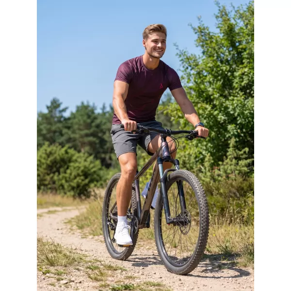  Muška funkcionalna kompresijska majica kratkih rukava premium ALTISPORT VOJ/ALM072TR04 VINO-CRVENO 