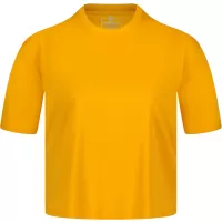 Žuta boja