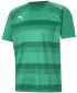 Muška funkcionalna košulja PUMA TEAMVISION JERSEY 704921_05 PEPPERGREEN/POWERGREEN/WHITE
