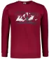 Muški sweatshirt ALTISPORT ALM190406 GRANAT