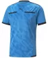 Nogometni dres PUMA TEAMLIGA REFEREE JERSEY 705452_18 BLEU AZUR/ BLEU AZUR/PUMA CRNA
