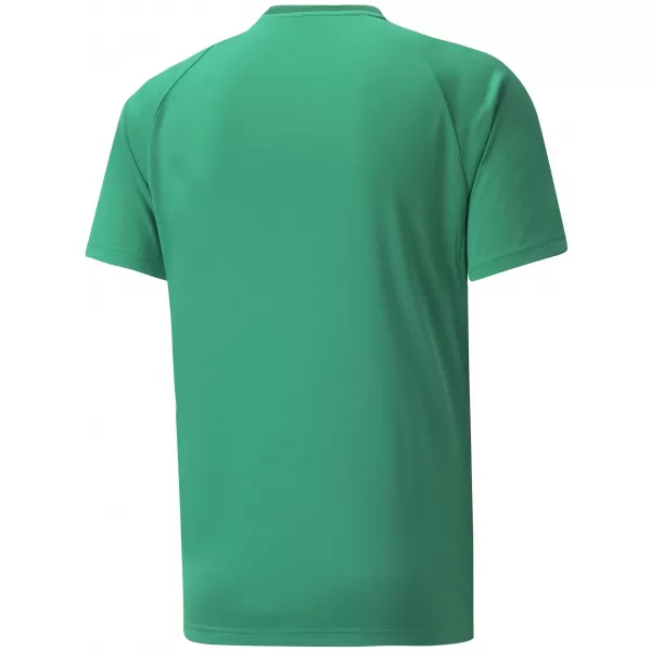  Muška funkcionalna košulja PUMA TEAMVISION JERSEY 704921_05 PEPPERGREEN/POWERGREEN/WHITE 