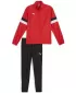 Tracksuit PUMA TEAMRISE WVN TRACKSUIT 659036_01 PUMA RED