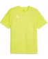 Muška funkcionalna košulja PUMA TEAMFINAL TRAINING JERSEY 658557_30 ELECTRIC LIME/ ELEKTRIČNA VAPNA/PUMA SREBRO