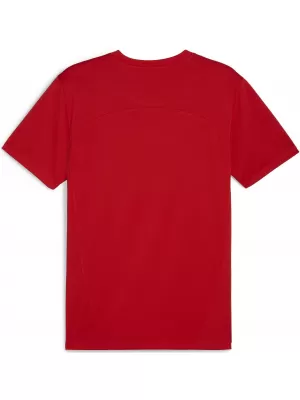 Muška funkcionalna košulja PUMA TEAMFINAL TRAINING JERSEY 658557_01 PUMA RED/PUMA SILVER