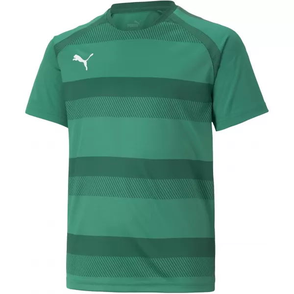  T -majica PUMA TEAMVISION JERSEY JR 704928_05 PEPPERGREEN/POWERGREEN/WHITE 