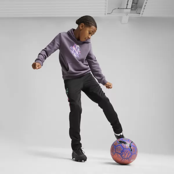  Dječja dukserica PUMA NEYMAR JR CREATIVITYHOODIEJR 660100_01 LJUBIČASTI UGLJEN 