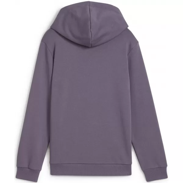  Dječja dukserica PUMA NEYMAR JR CREATIVITYHOODIEJR 660100_01 LJUBIČASTI UGLJEN 