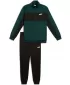 Muški komplet PUMA POLY COLORBLOCK SUIT 687304-75 ZELENA