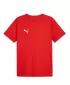 Muški dres PUMA TEAMRISE MATCHDAY JERSEY 706132-01 CRVENI