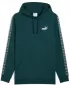 Muški sweatshirt PUMA ESS TAPE HOODIE FL 684675-75 ZELENA