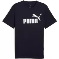 Plava